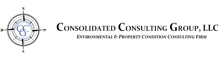 Consolidated Consulting Group